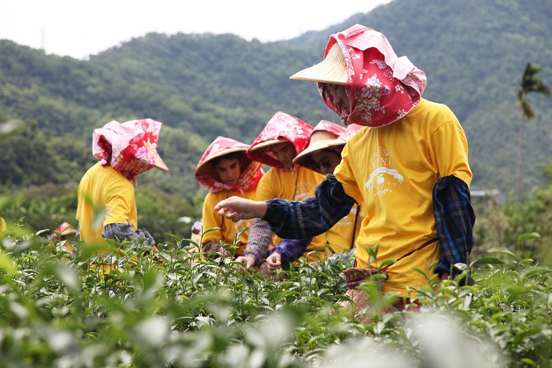 【Mar.3】各梯次報名狀態更新｜Status Update for Each Session Registration